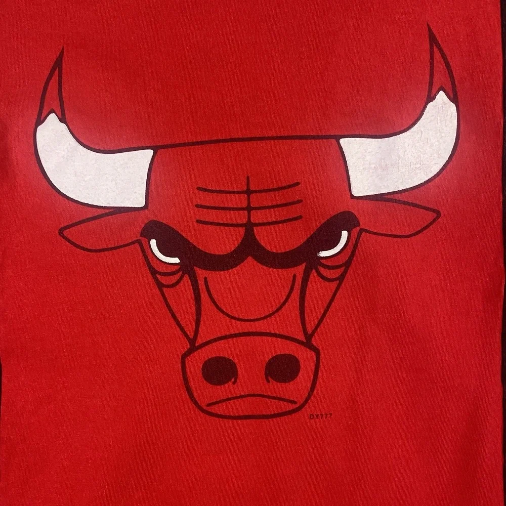 Vintage Chicago Bulls Shirt‎ Mens Large Colorblock V Neck True Fan NBA Jordan